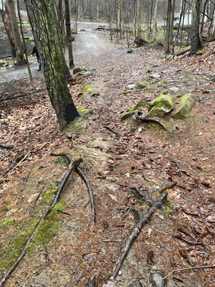 Trail Restoration