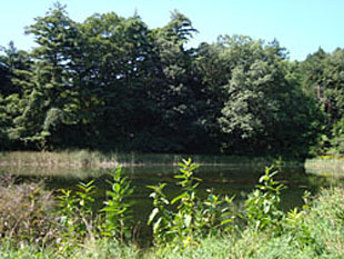 Highland Pond