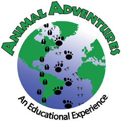 Animal Adventures