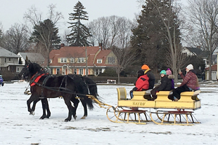 Horse Drawn Sleigh